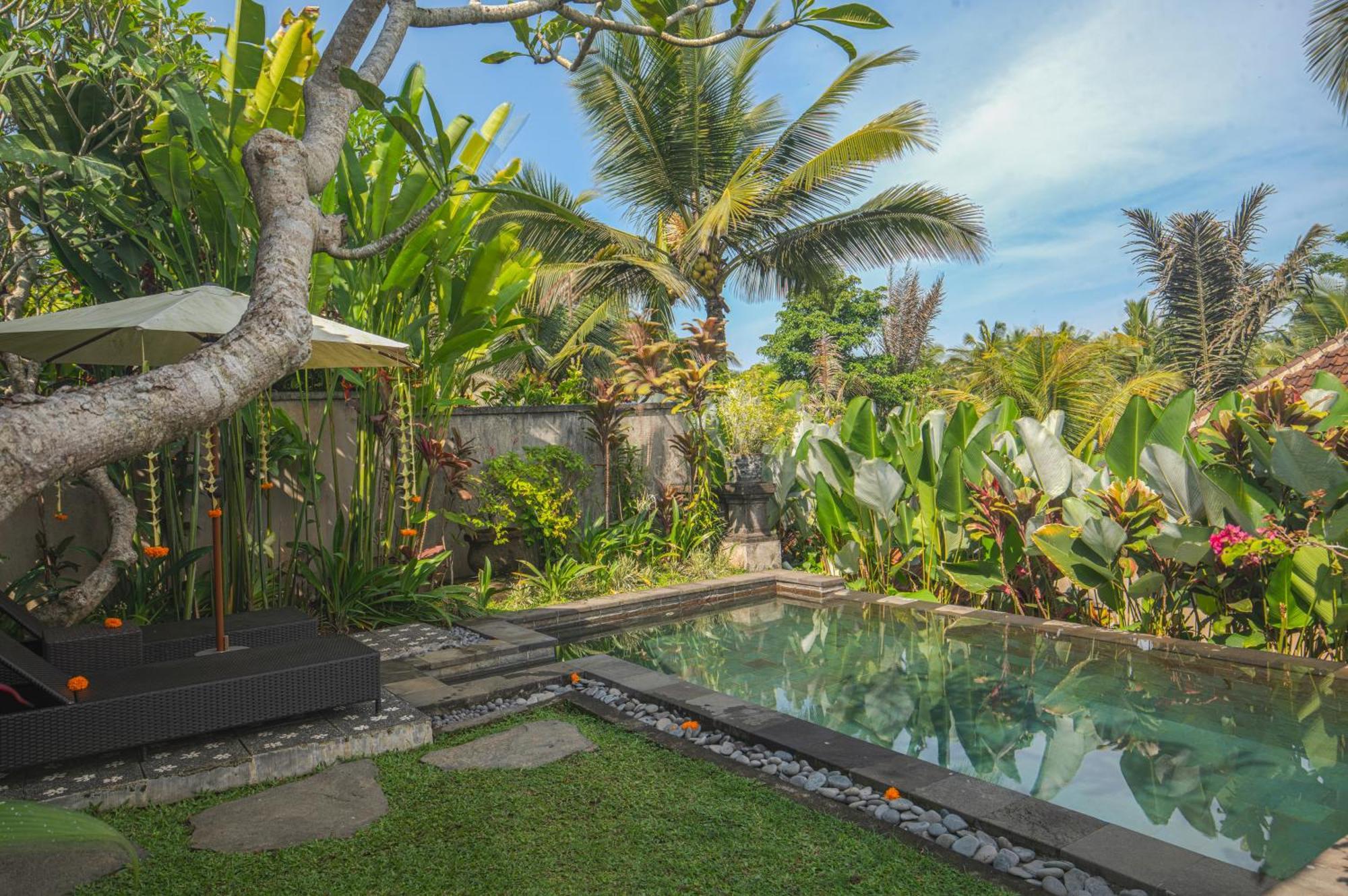 Taluh Bebek Ubud Private Villas ภายนอก รูปภาพ