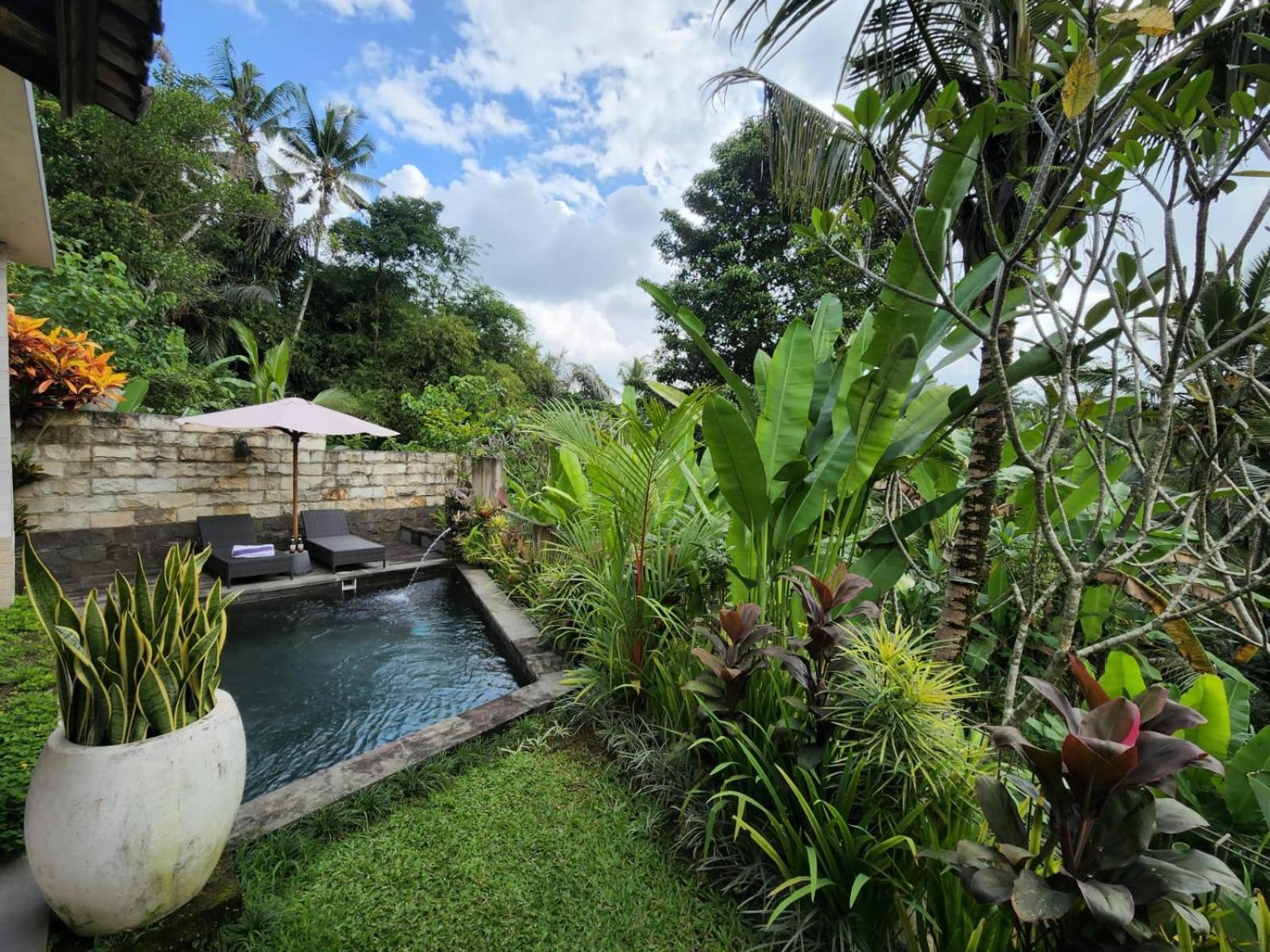 Taluh Bebek Ubud Private Villas ภายนอก รูปภาพ